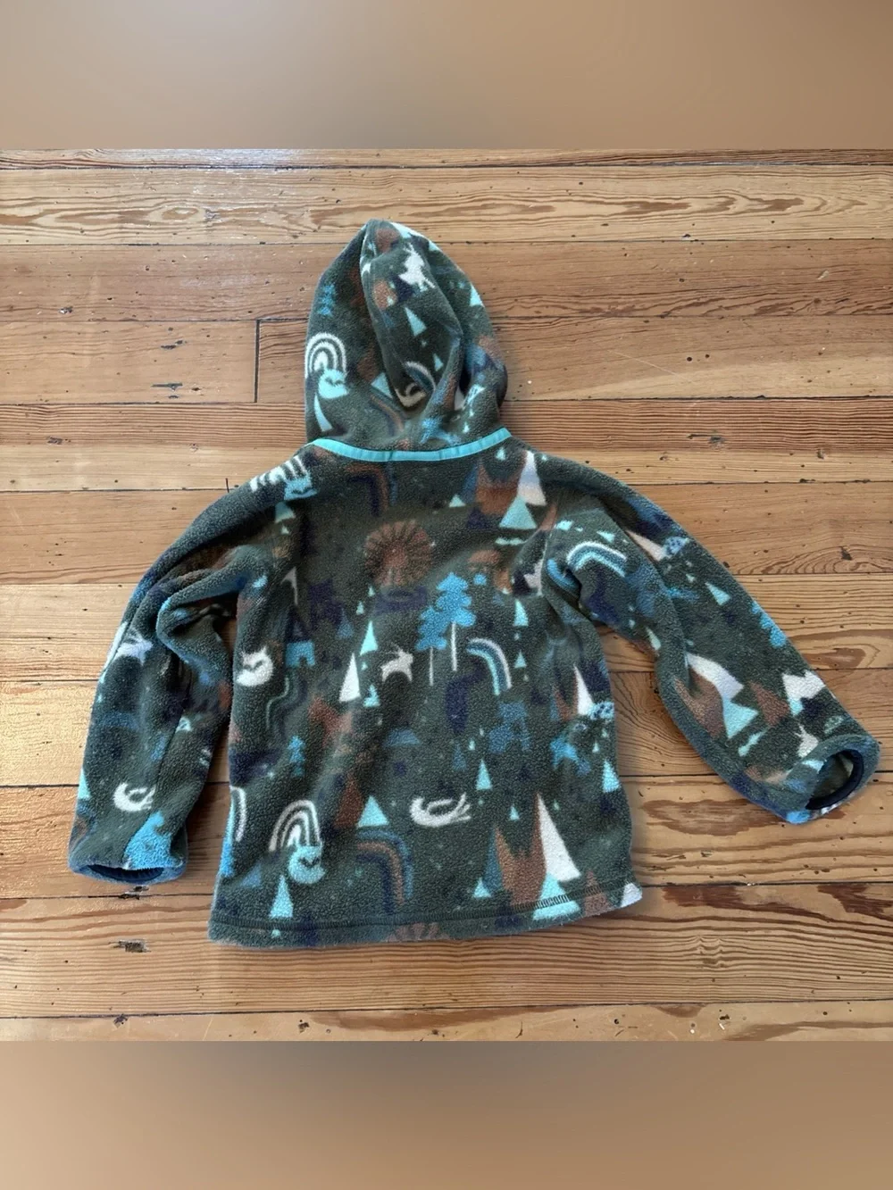 Patagonia Baby Synchilla Fleece Jacket 4T Toddler Hood Zip Cardigan